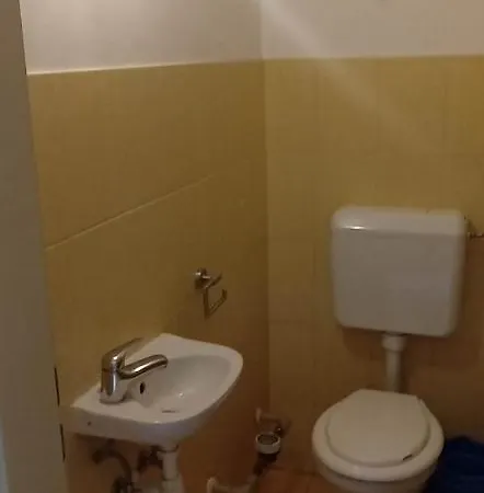 Levendula * Bekescsaba